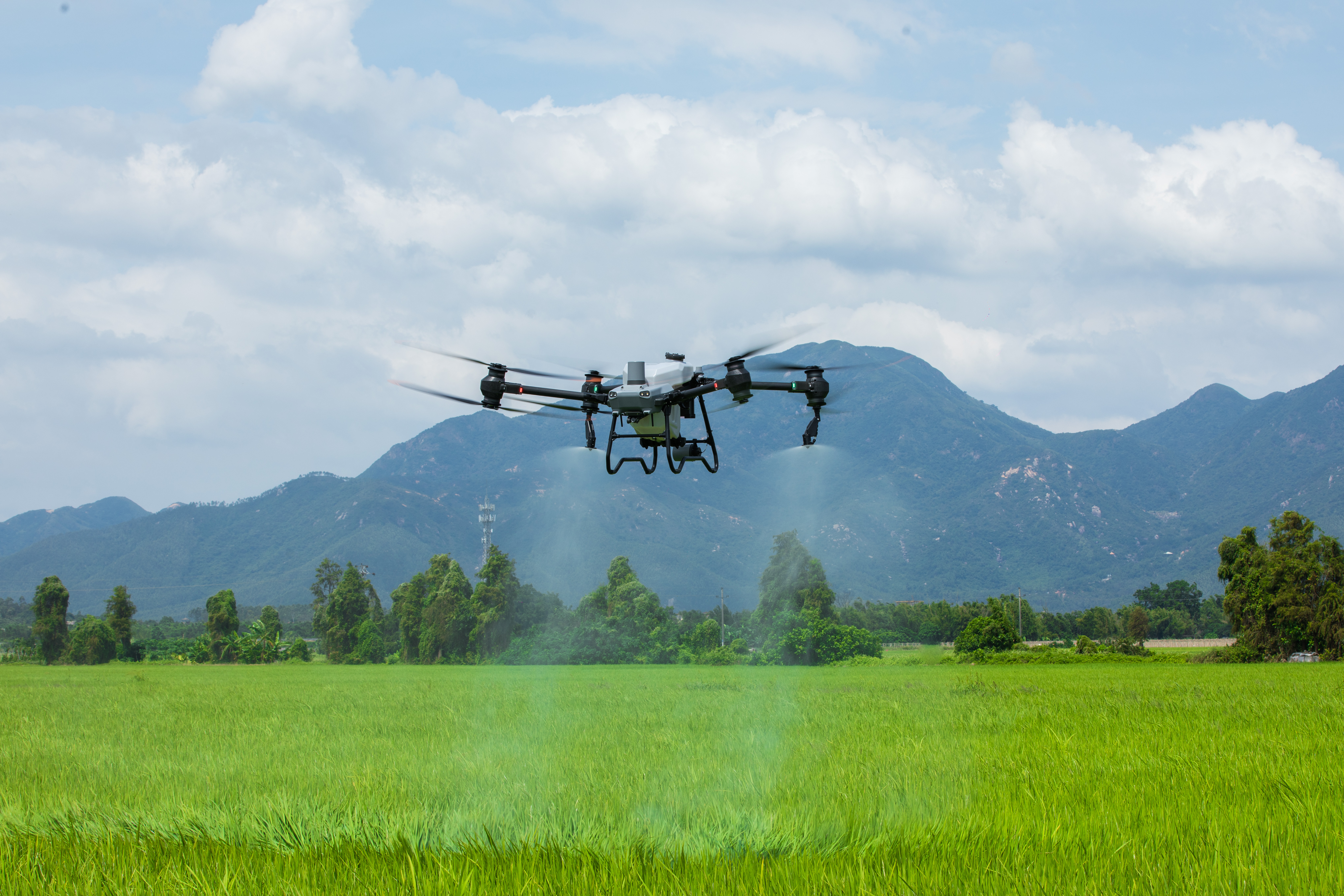 Drone DJI Agras en opération de pulvérisation agricole
